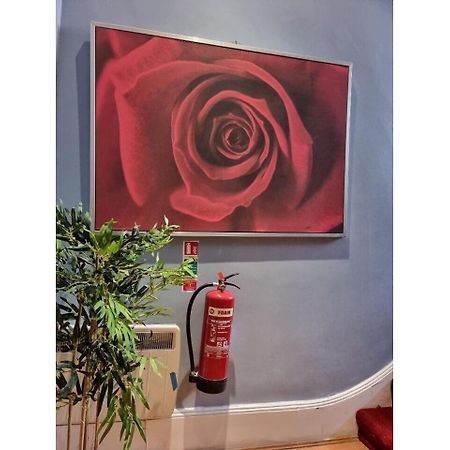 F304-Lovely 3Rd Flr Studio Fits 2 Near Hyde Park 伦敦 外观 照片