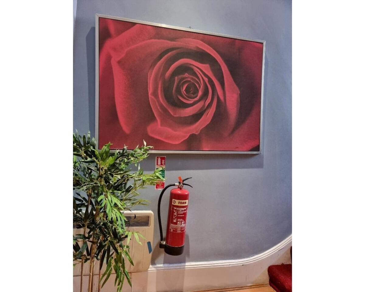 F304-Lovely 3Rd Flr Studio Fits 2 Near Hyde Park 伦敦 外观 照片